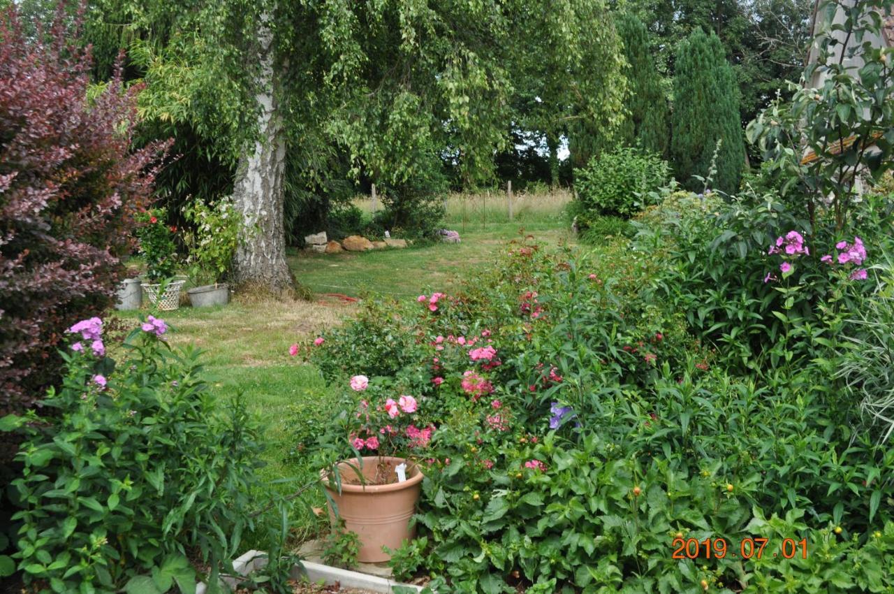 Ma Maison Bleue Saint-Brice-sous-Ranes エクステリア 写真