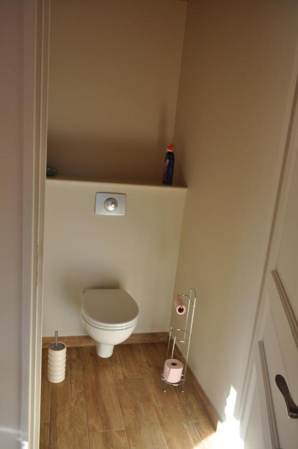 Ma Maison Bleue Saint-Brice-sous-Ranes エクステリア 写真