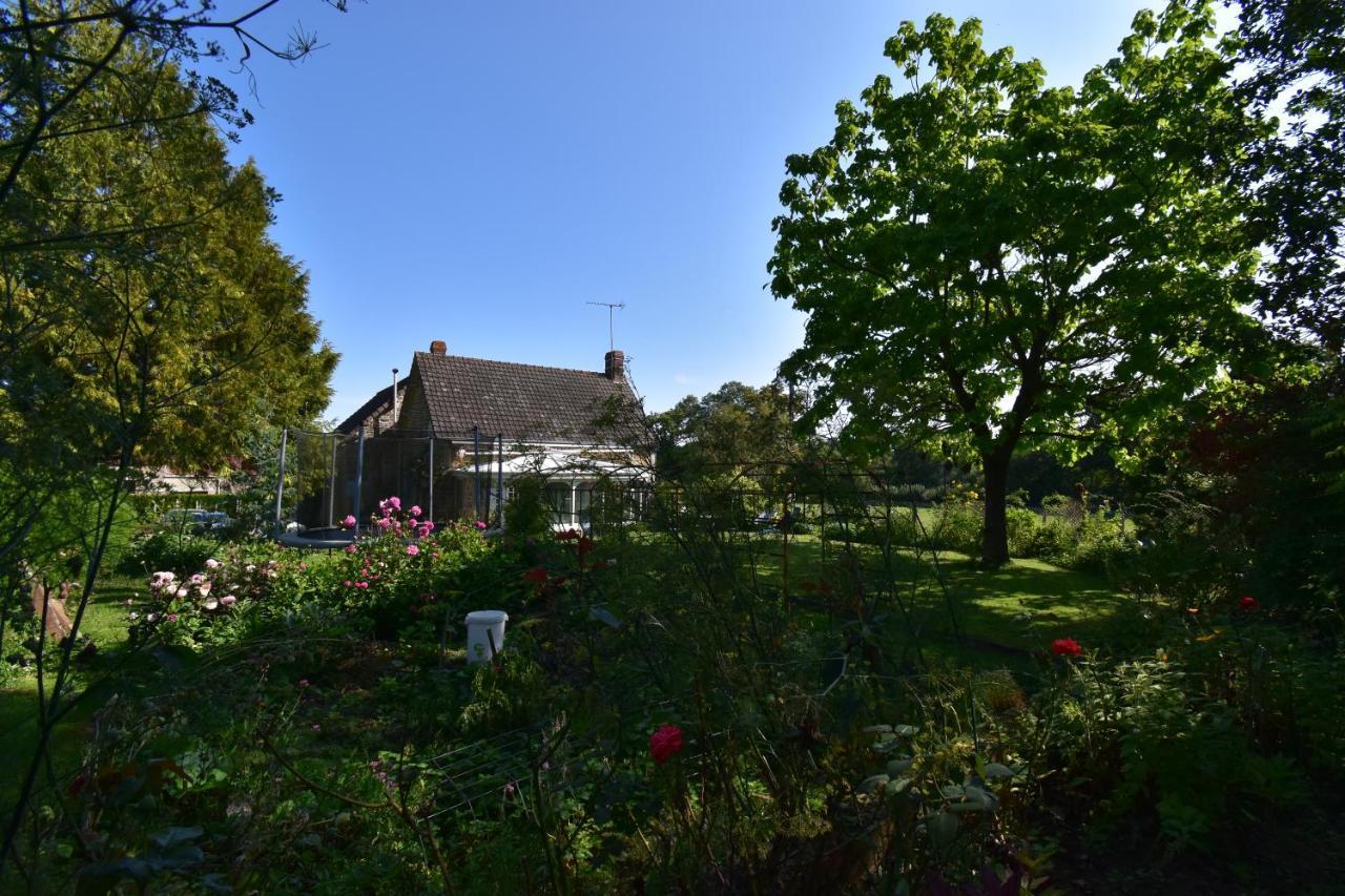 Ma Maison Bleue Saint-Brice-sous-Ranes エクステリア 写真